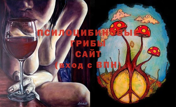 гашик Бугульма