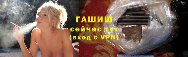 ешки Бородино