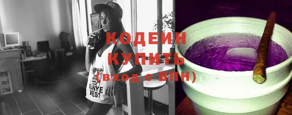 ешки Бородино