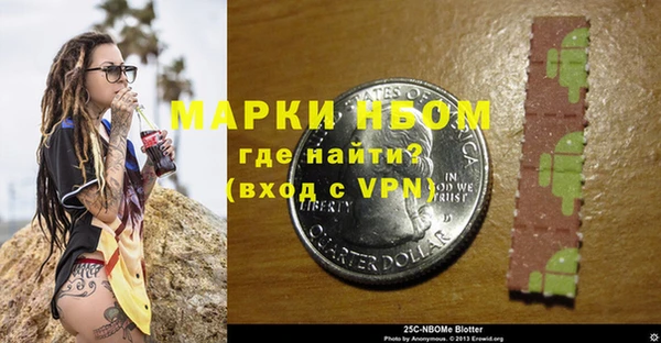 ешки Бородино
