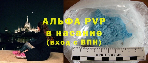 ешки Бородино